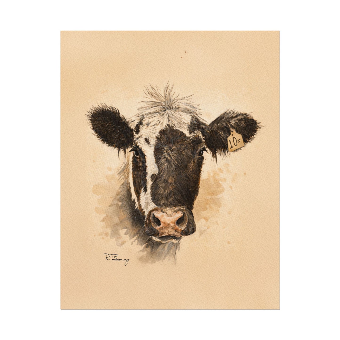 Scruffy Cow Portrait with Eartag Print