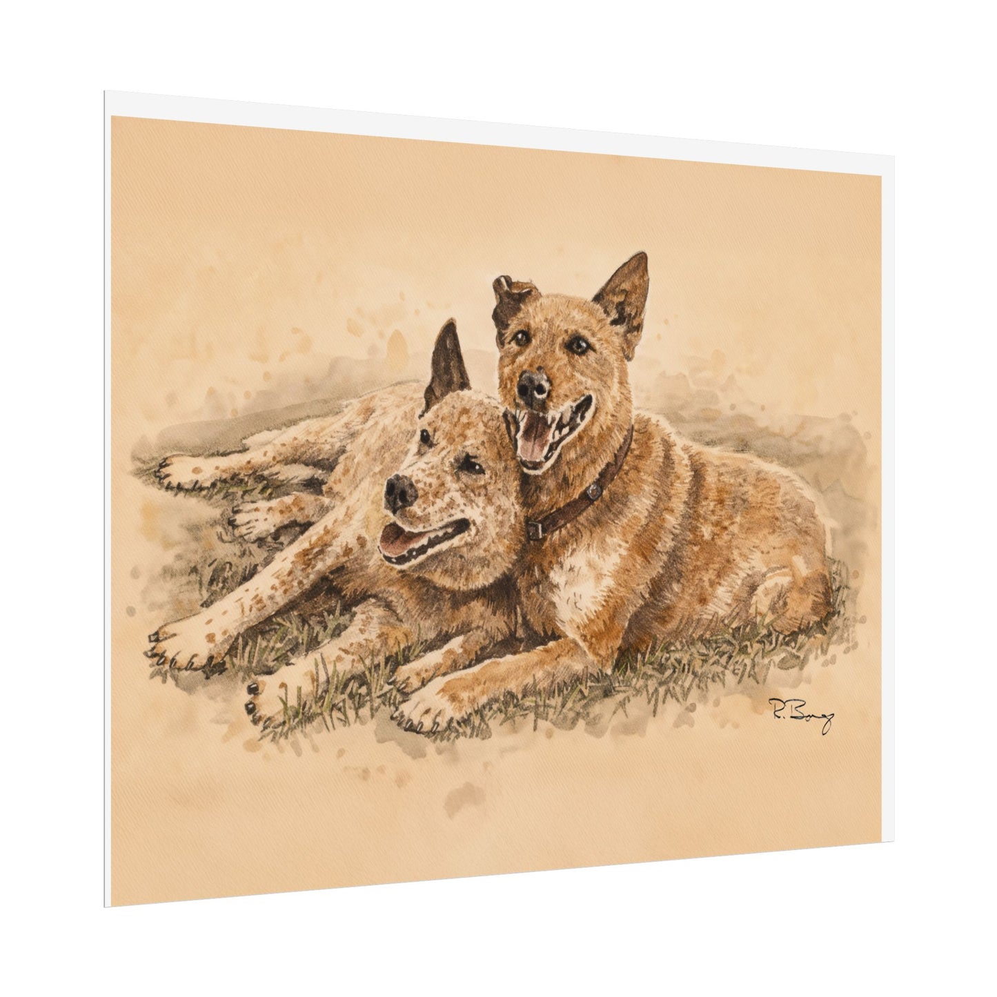 Two Cow Dogs Watercolor Print