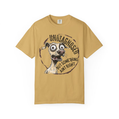 Undiagnosed but something aint right T-Shirt, Just Be Kind Unisex Tee