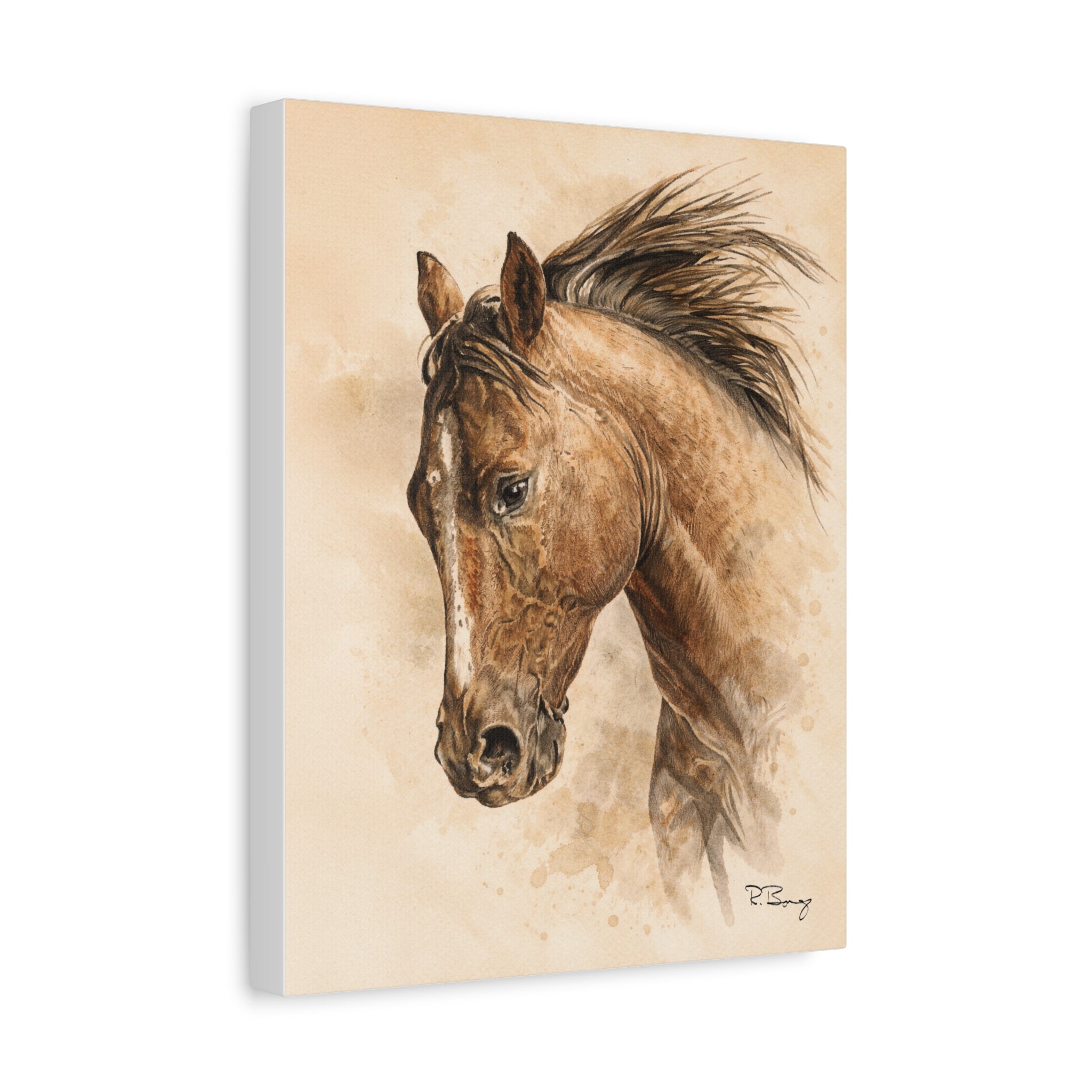 Quiet Working Horse Stretched Canvas — Graphite & Watercolor Ranch Art