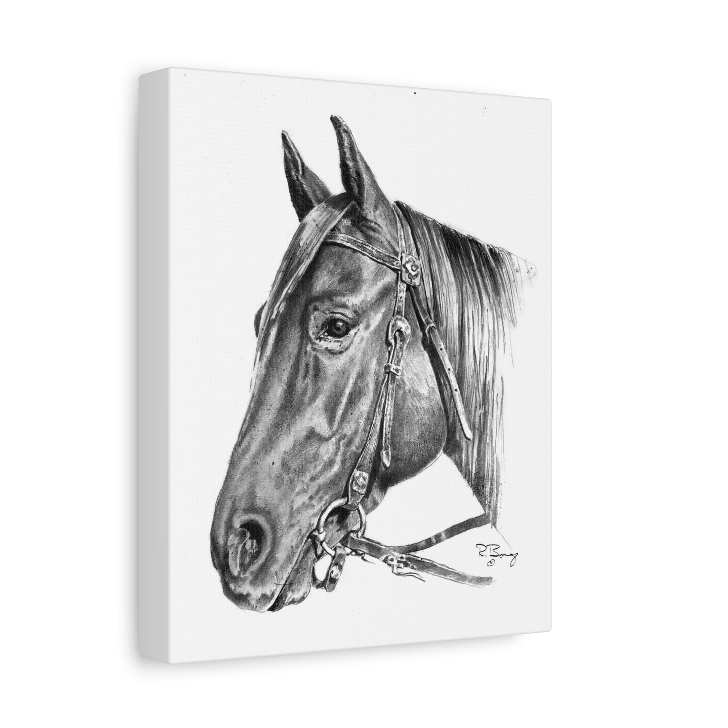 Horse Head, Custom Stretched Canvas