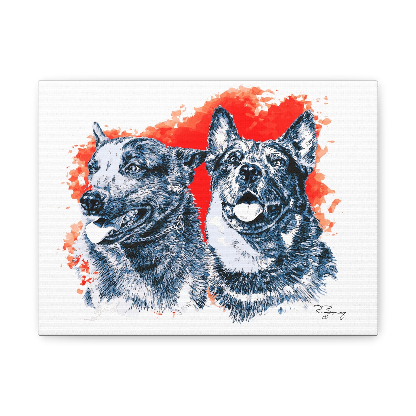 Two Cow Dogs Stretched Canvas