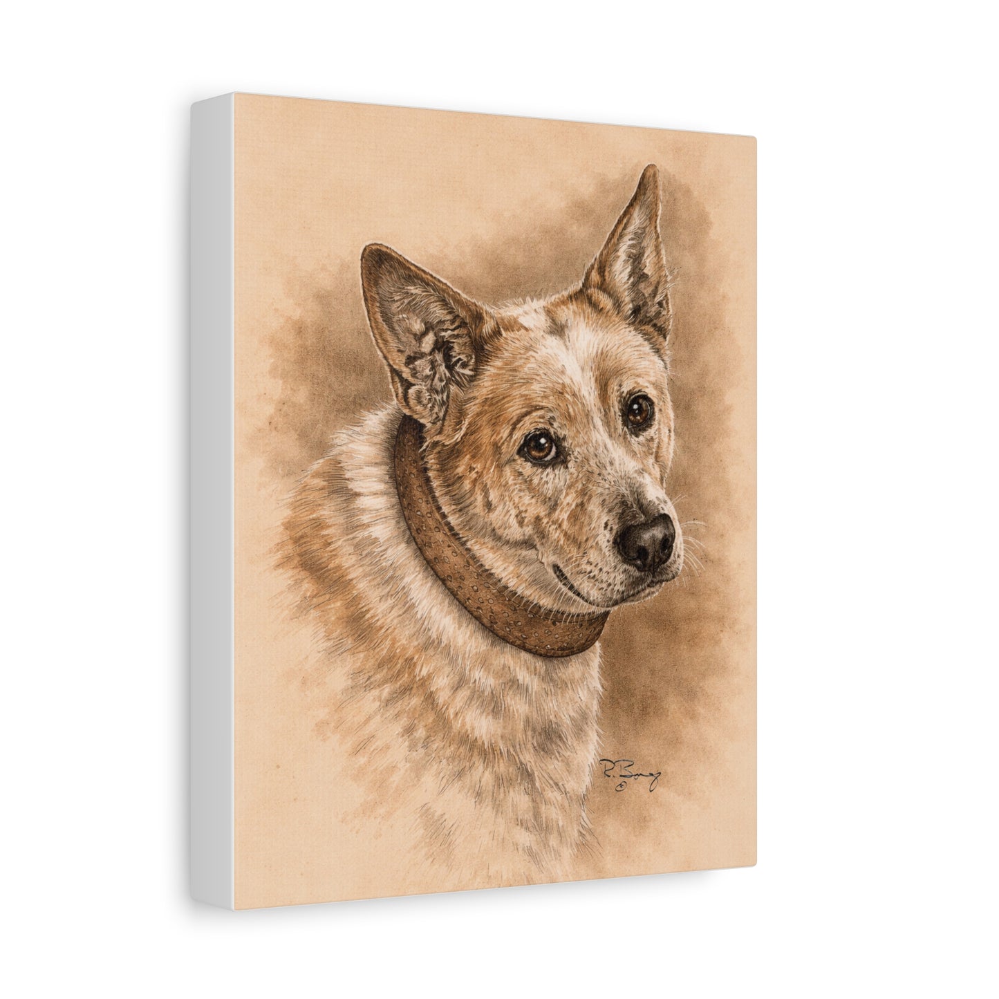 Australian Cattle Dog (Heeler) Stretched Canvas