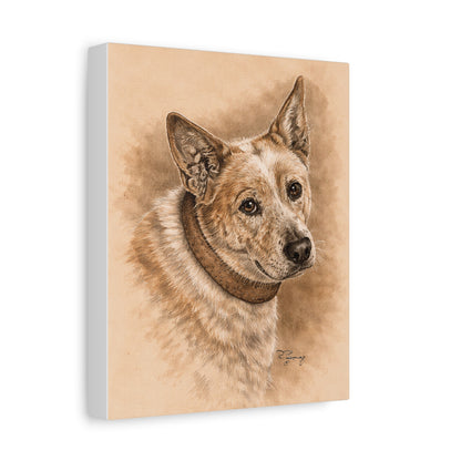 Australian Cattle Dog (Heeler) Stretched Canvas