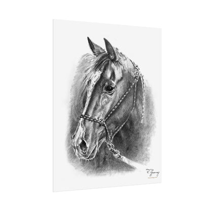 Quarter Horse Halter Custom Print