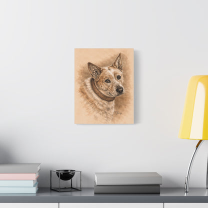 Australian Cattle Dog (Heeler) Stretched Canvas