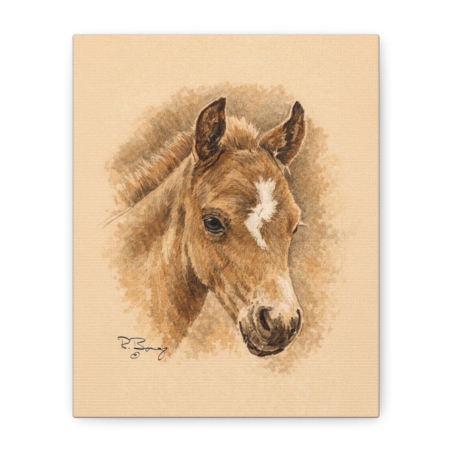 Lightning Colt Stretched Canvas Print