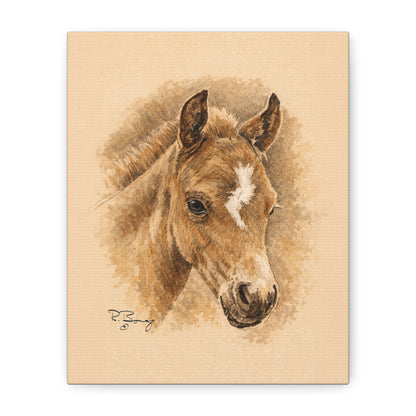 Lightning Colt Stretched Canvas Print