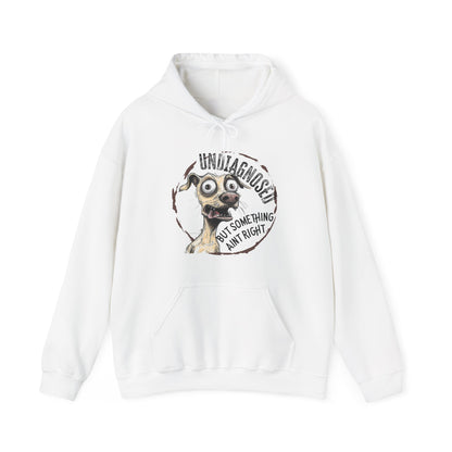 Undiagnosed But Aint Right Hoodie