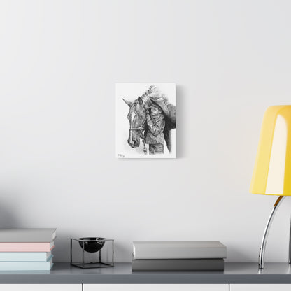 Little Cowhand & His Trusty Steed Canvas Print