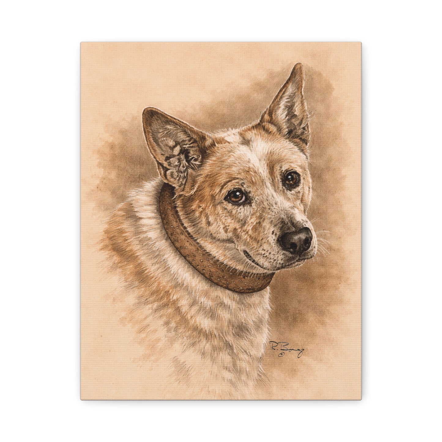 Australian Cattle Dog (Heeler) Stretched Canvas