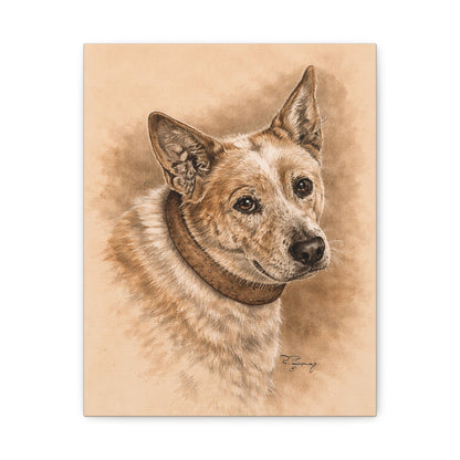 Australian Cattle Dog (Heeler) Stretched Canvas