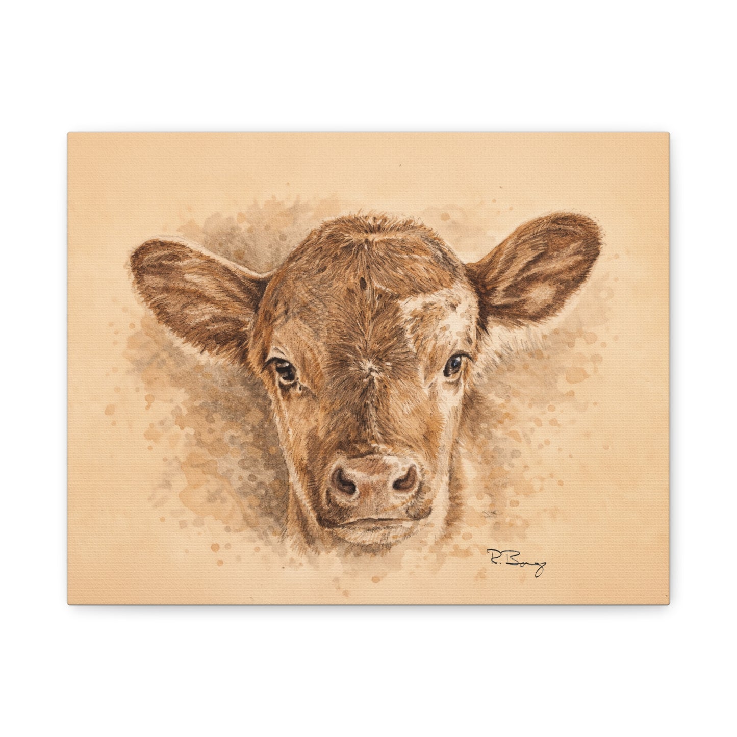 Calf Ears Stretched Canvas Print