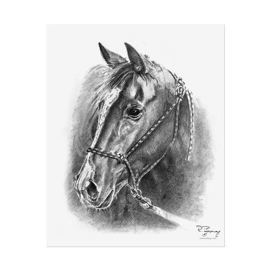Quarter Horse Halter Custom Print