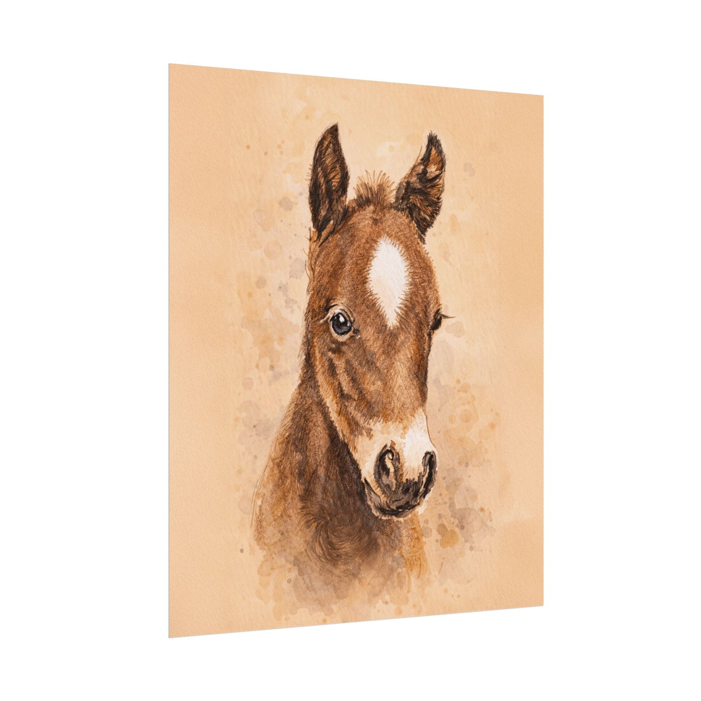 Star Colt Archival Paper Print