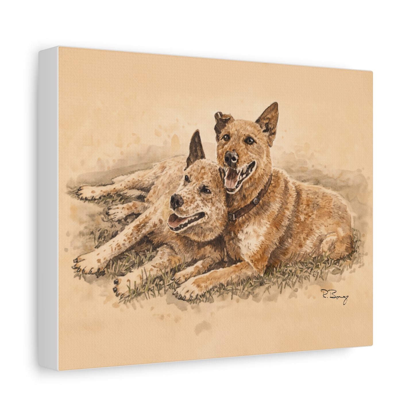 Two Cow Dogs Stretched Canvas Print