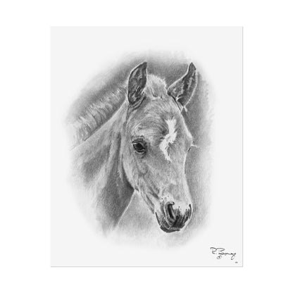 Vertical Print - Foal with Crooked Star