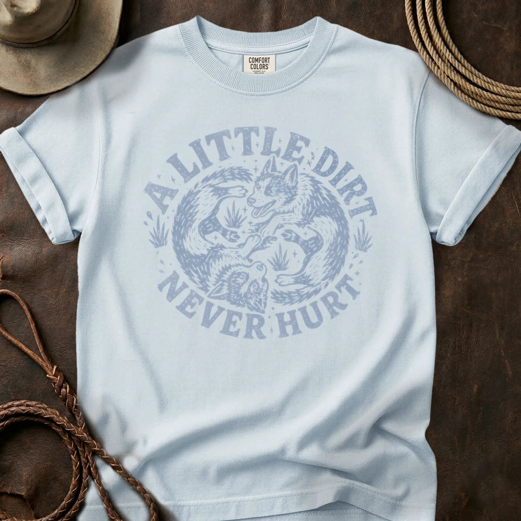 Chambray