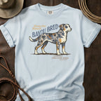 Chambray