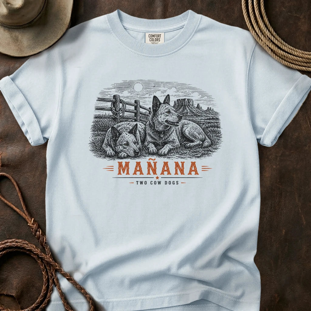 Chambray